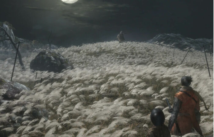 fix sekiro shadows