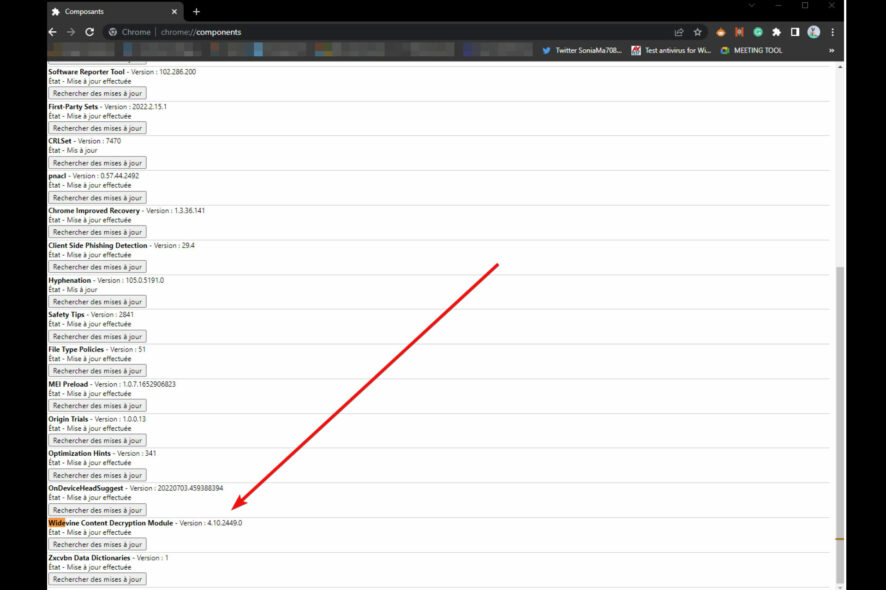 le plugin widevinecdm a planté (widevine content decryption module)