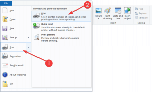 FIX: Printer won’t print in Windows 10/11