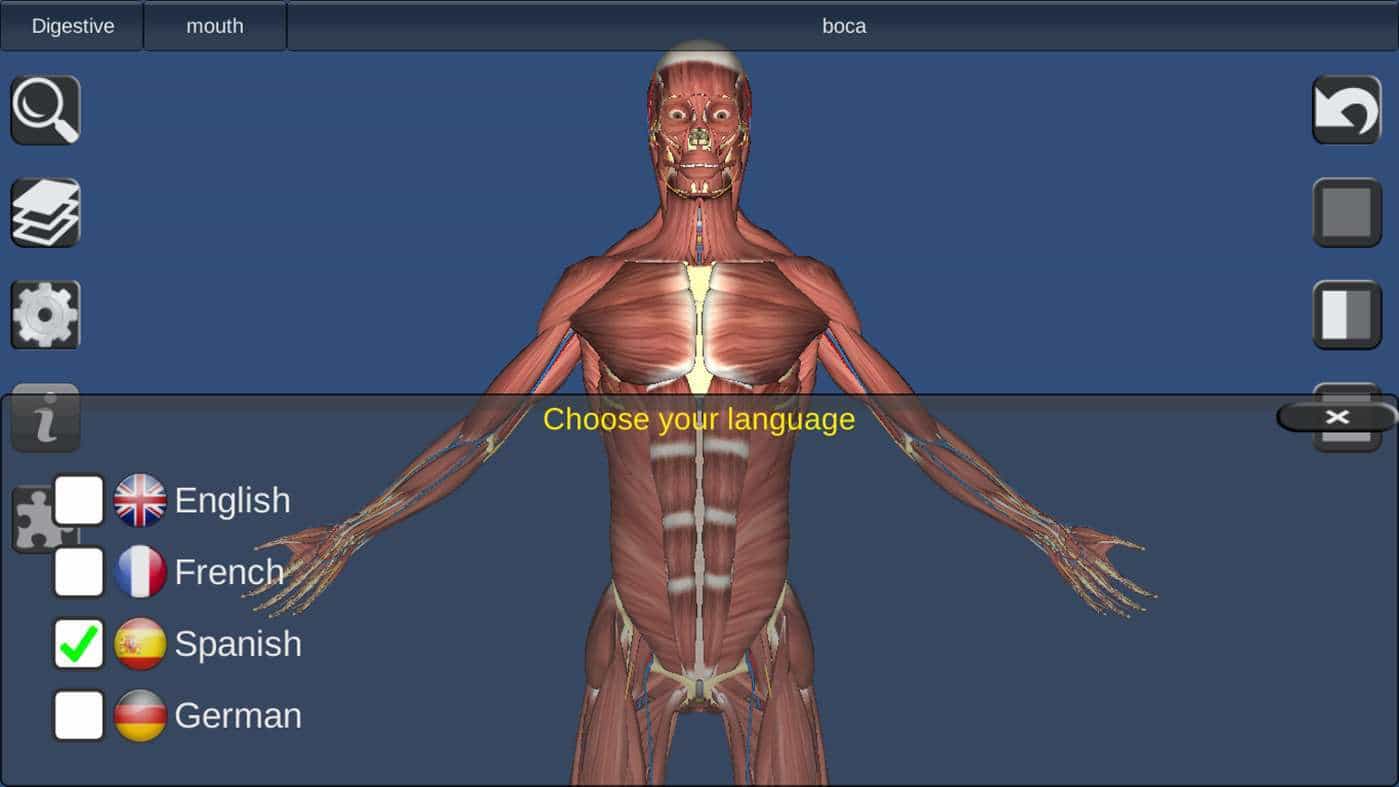 human anatomy software