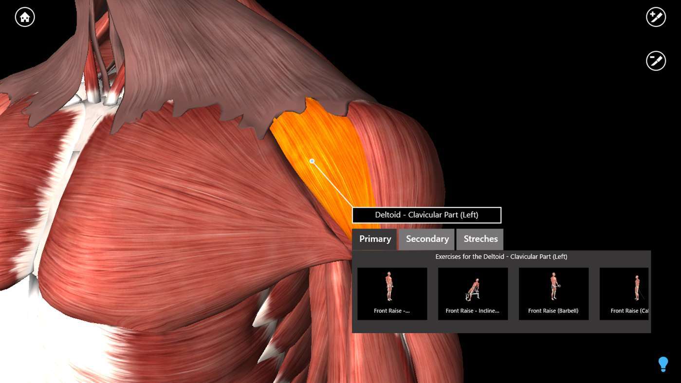 The best 3D anatomy software to use for human body research