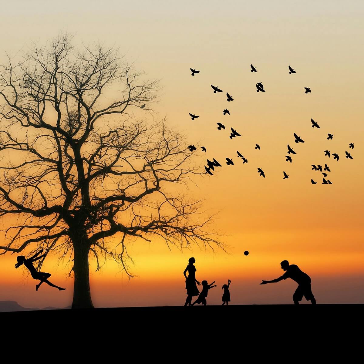 Ancestry Software to Explore Your Genealogy Family Tree [2026]