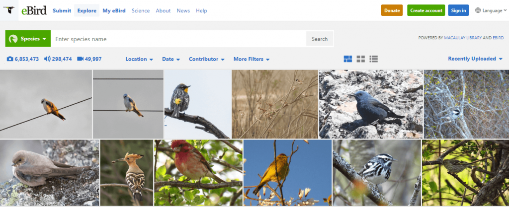 5 best bird listing software to fuel your passion