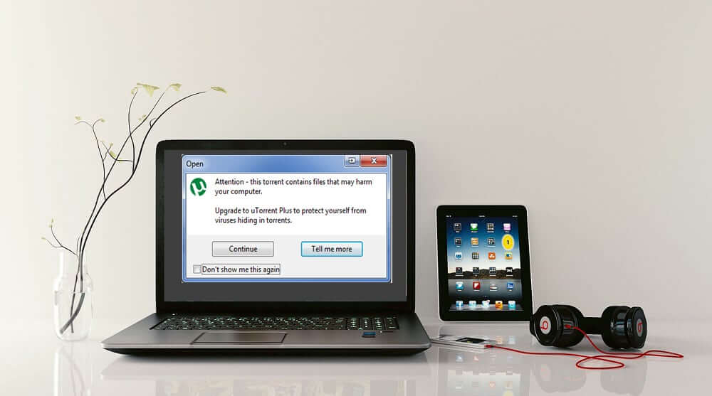 this torrent contains files that may harm your computer