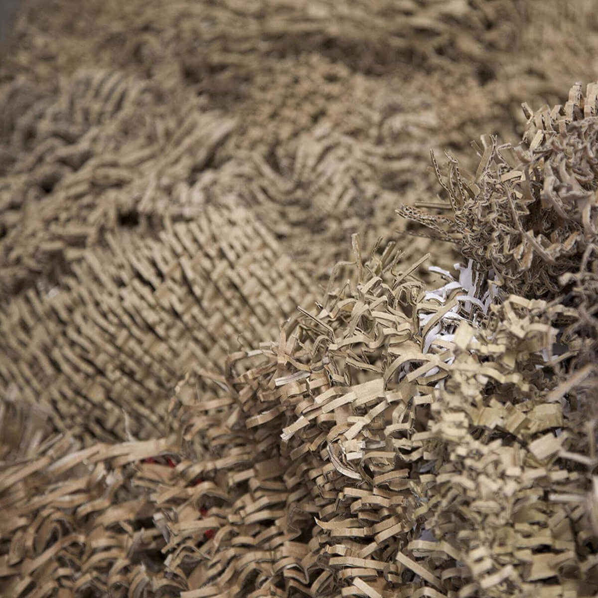 4 Best Cardboard Shredders To Buy