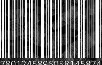 find Adobe serial number