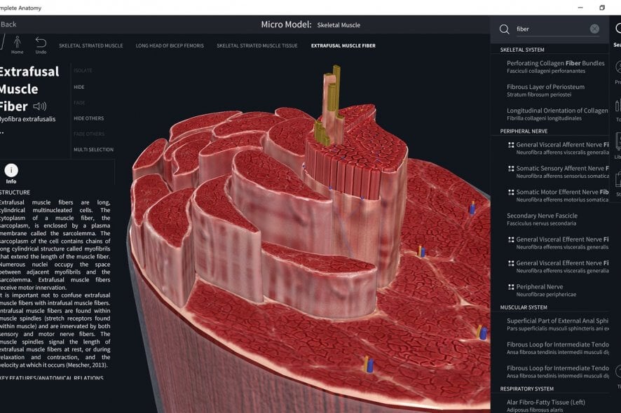 Complete Anatomy micro model