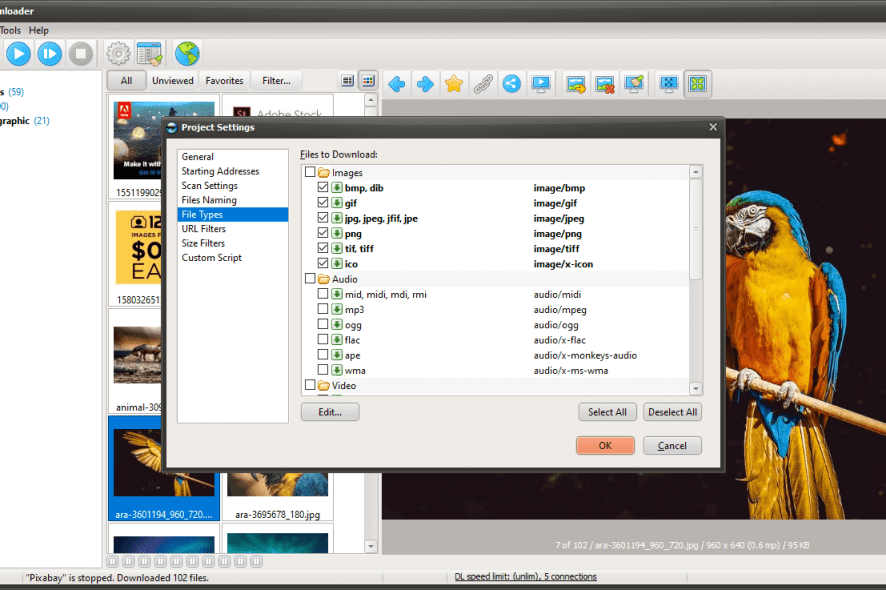 NeoDownloader project settings