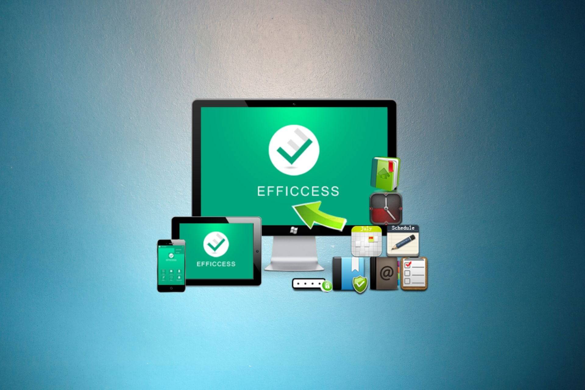 Efficcess logo