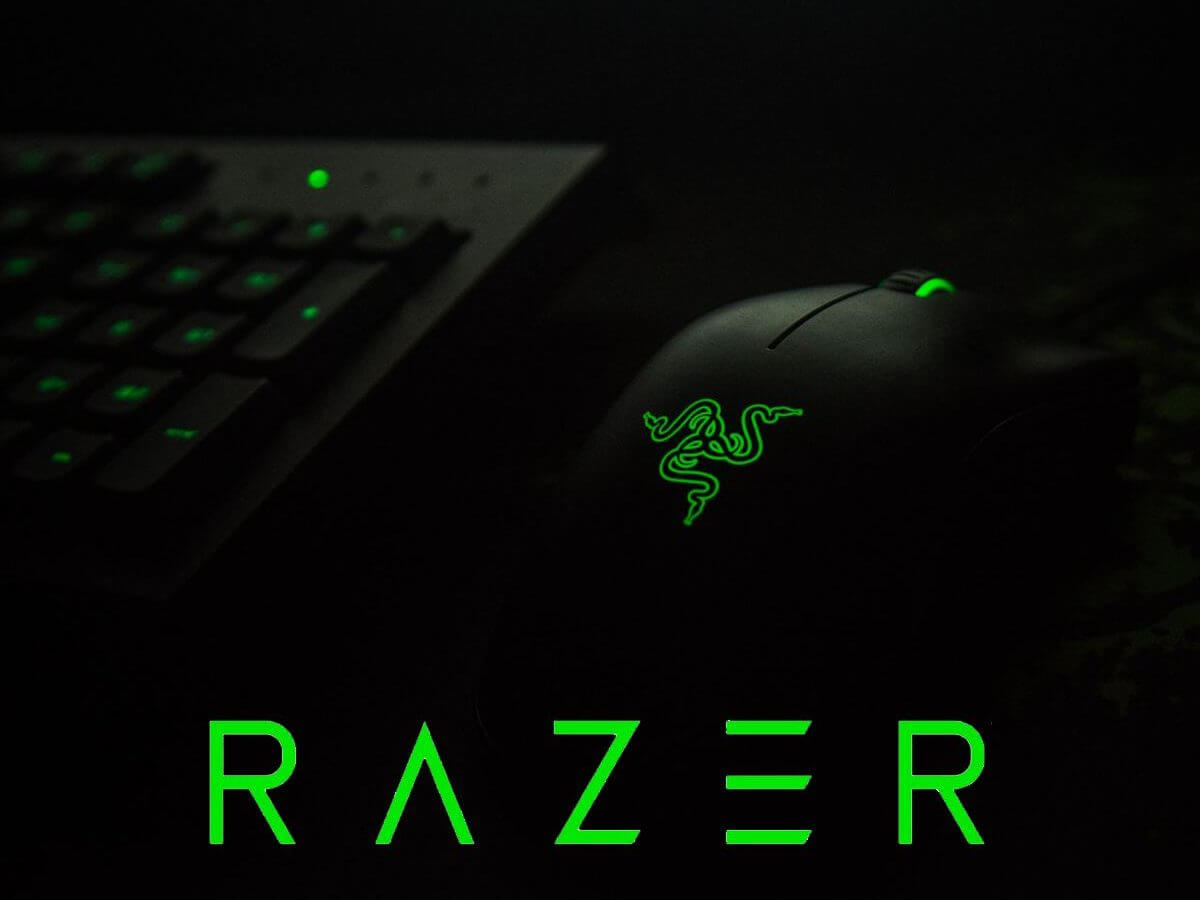 Razer Mouse Driver: Proper Installation Guide on Windows 10