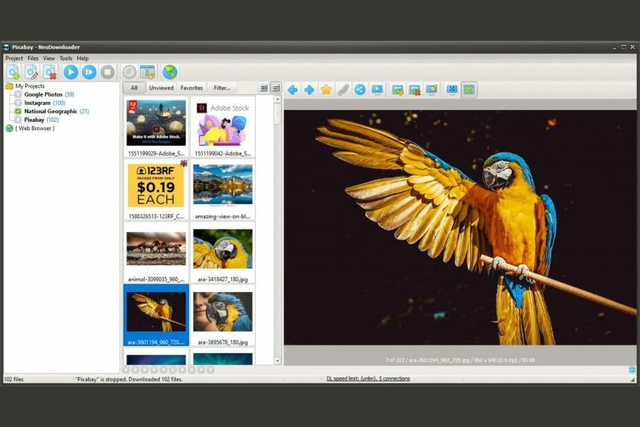 8 Best Bulk Image Downloader Software [2026 Guide]
