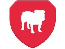 BullGuard VPN