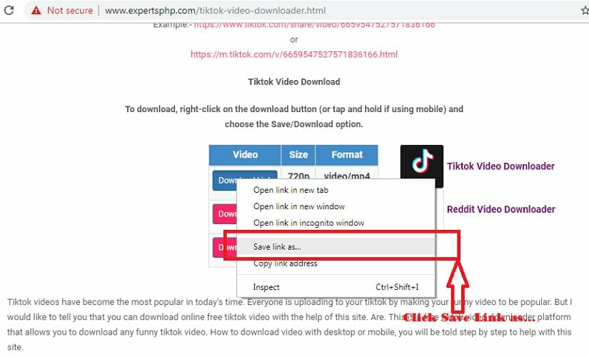 save Pinterest pictures with expertsphp