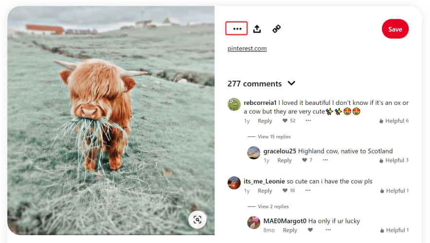 click the three dots icon on pinterest
