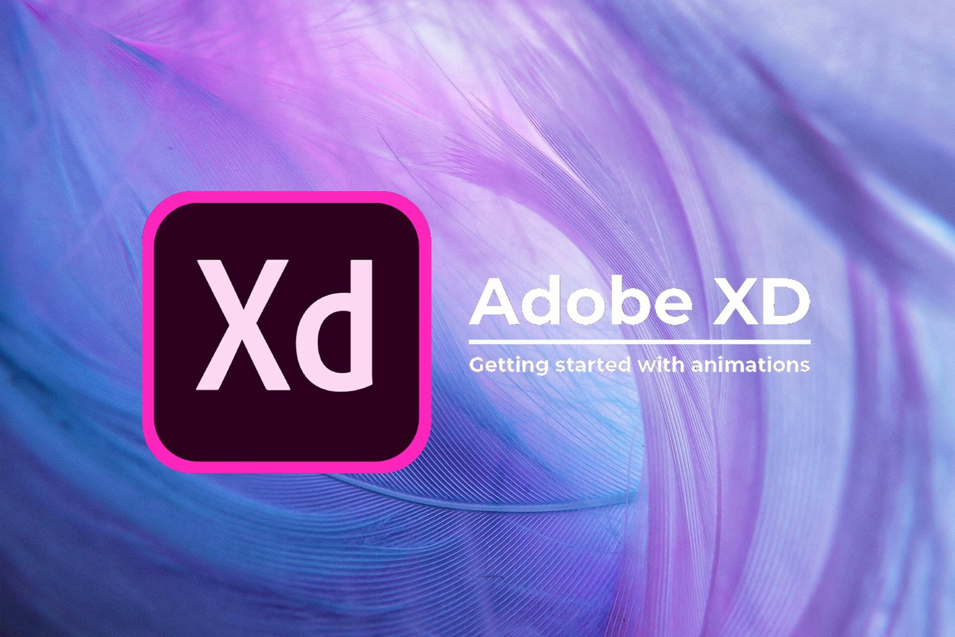 How to install Adobe XD without Creative Cloud