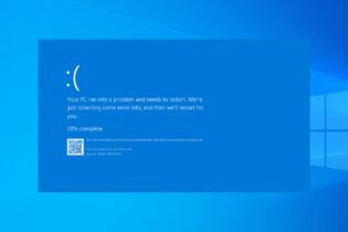 What are the Causes of BSOD: Everything you Need to Know
