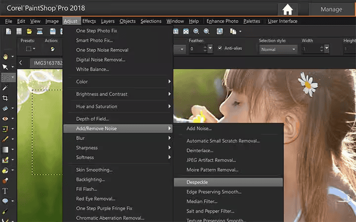 remove noise paint shop pro