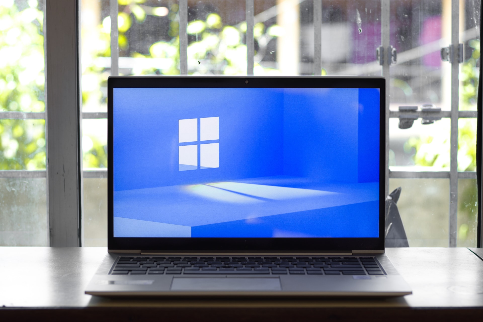 What edition of Windows 11 will you be upgraded to?