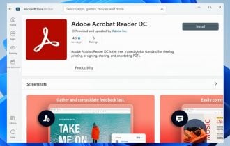 Adobe acrobat reader Windows 11