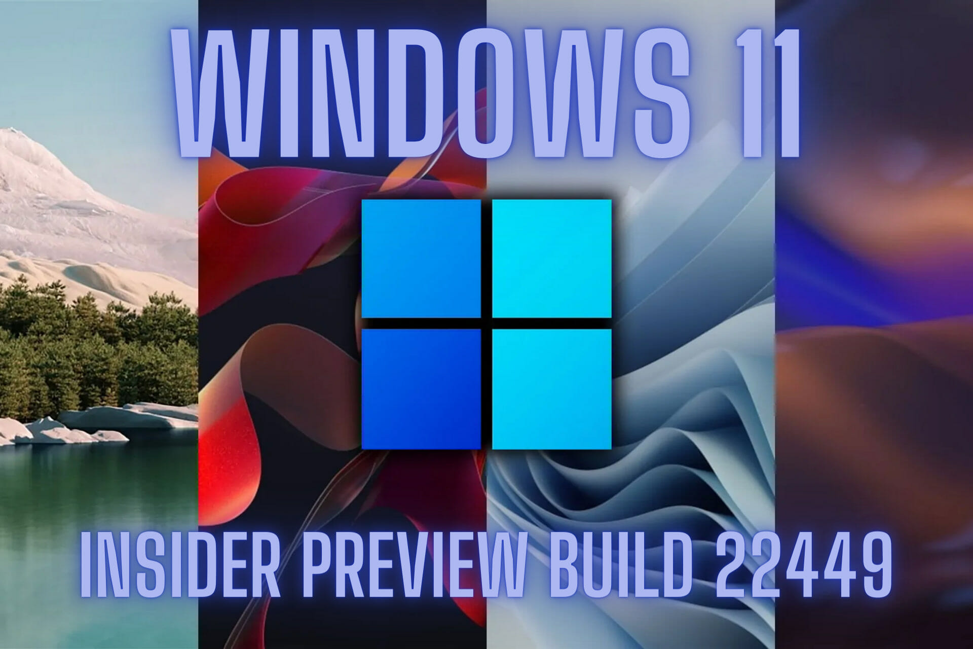 windows 11 new build