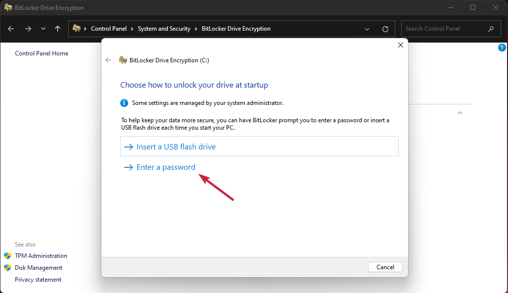 enter password bitlocker