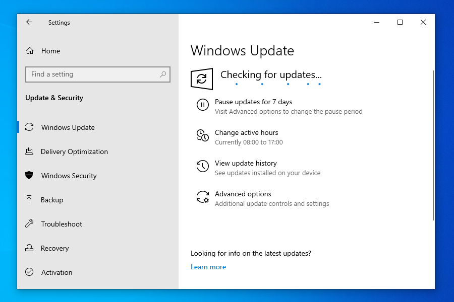 Computer looking for Windows 11 update