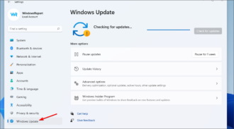 Windows 11 Reset PC Not Working: How to Force It