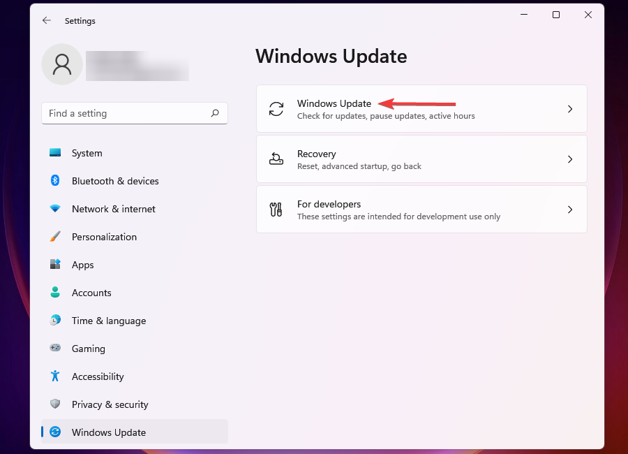 Faceți clic pe Windows Update
