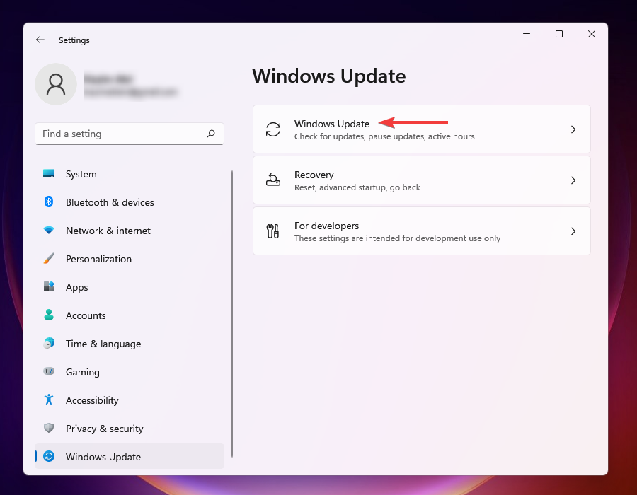 Windows Update option