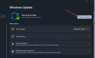 Windows 11 File System Error: How to Fix it in 7 Steps