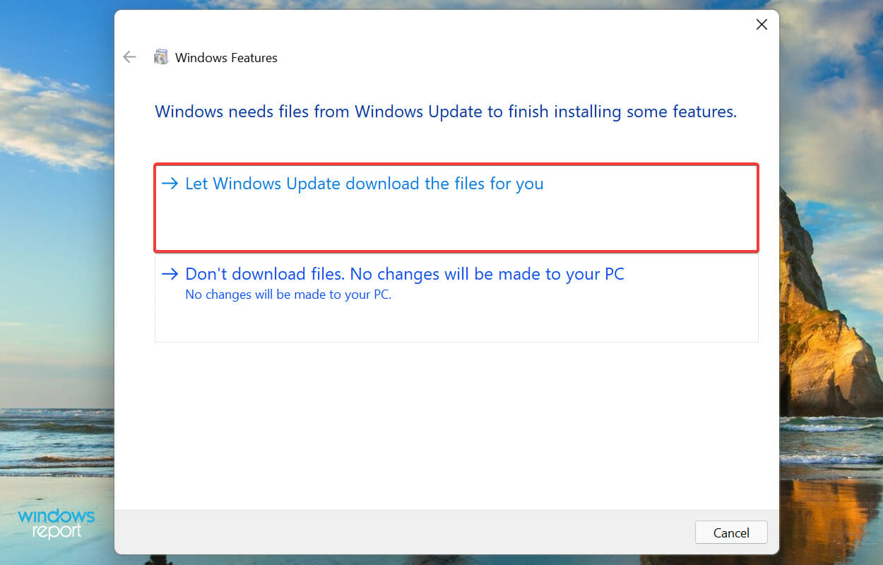Let Windows Update download the files for you