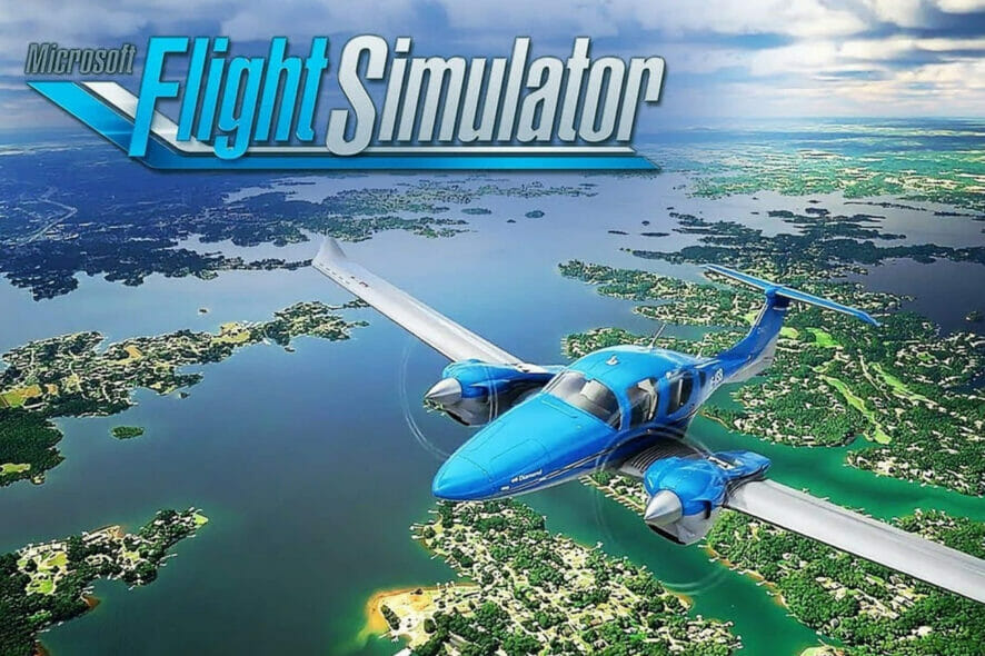 flight simulator