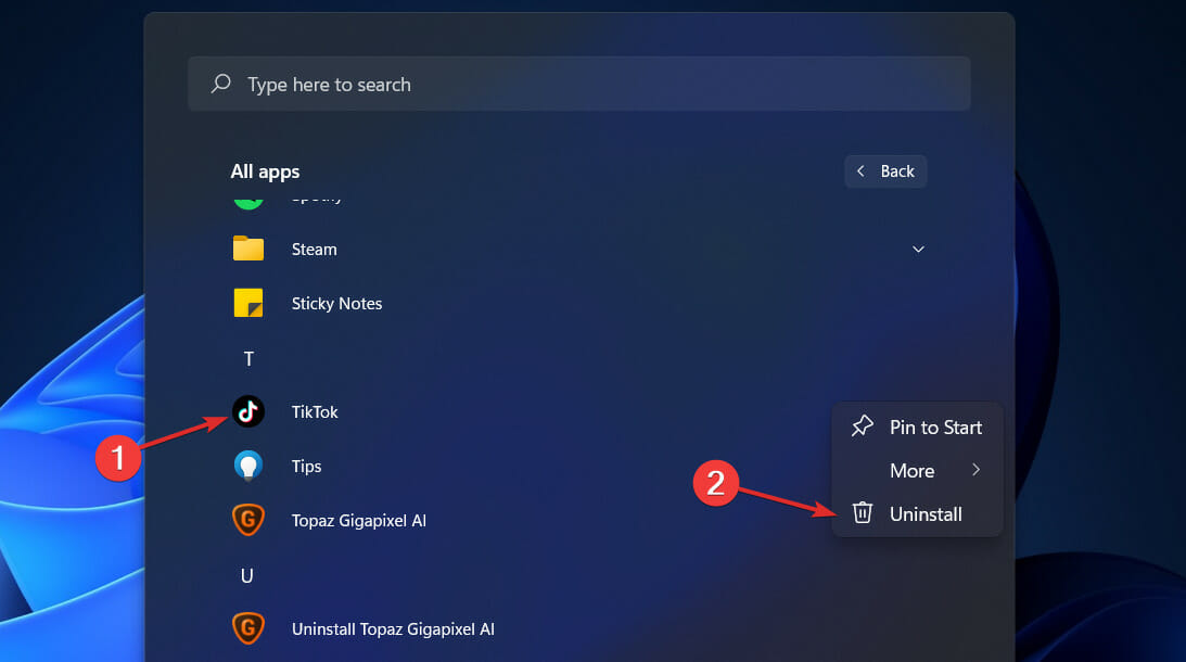 tiktok-remove windows 11 remove tiktok