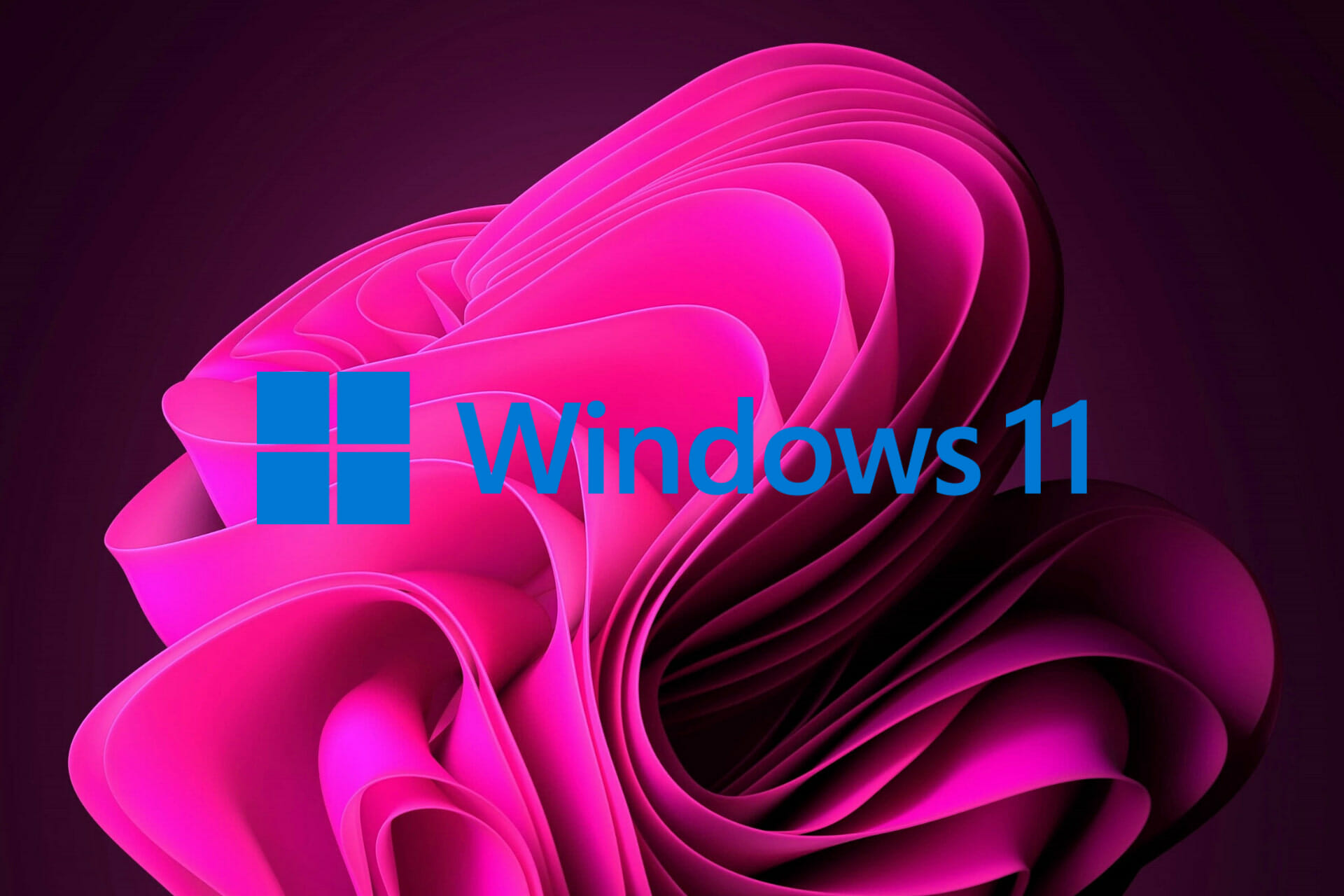 windows 11 KB