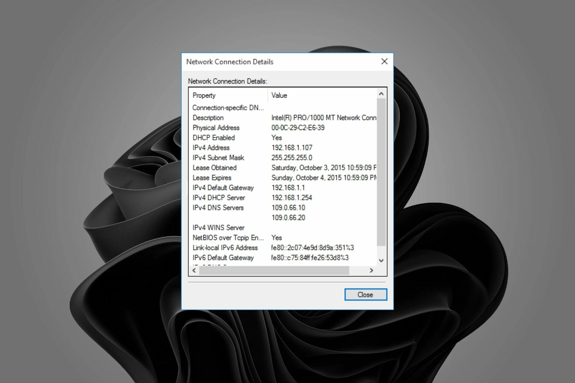 How to Set a Static IP Address on Windows 11: 3 Ways