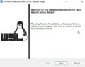 Ubuntu Not Working on Windows 11: How to Fix Common Errors