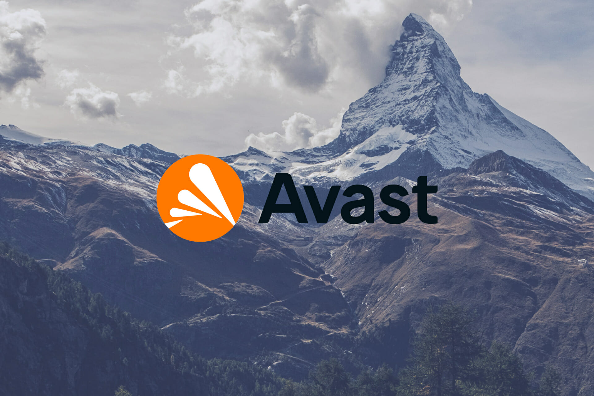 FIX: Avast Resolve all Feature Doesn’t Work in Windows 10/11