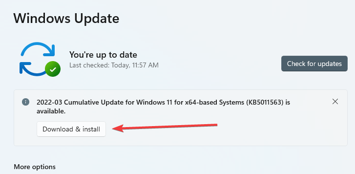Windows 11 non riconosce USB C