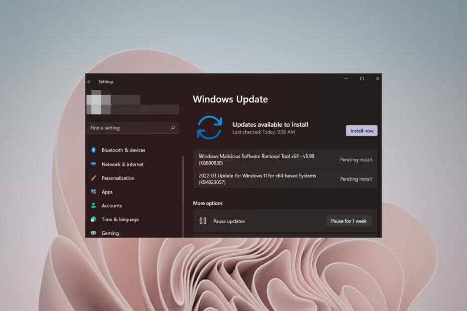 Windows 11 Driver Scanner Not Working? Here’s How to Fix it
