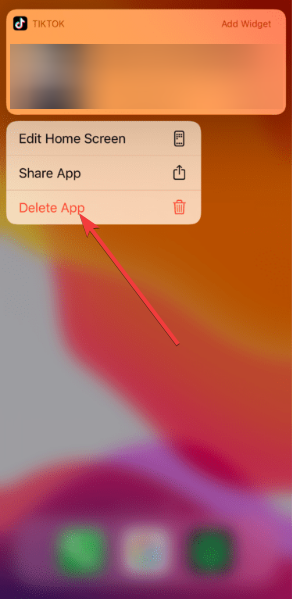 delete tiktok app