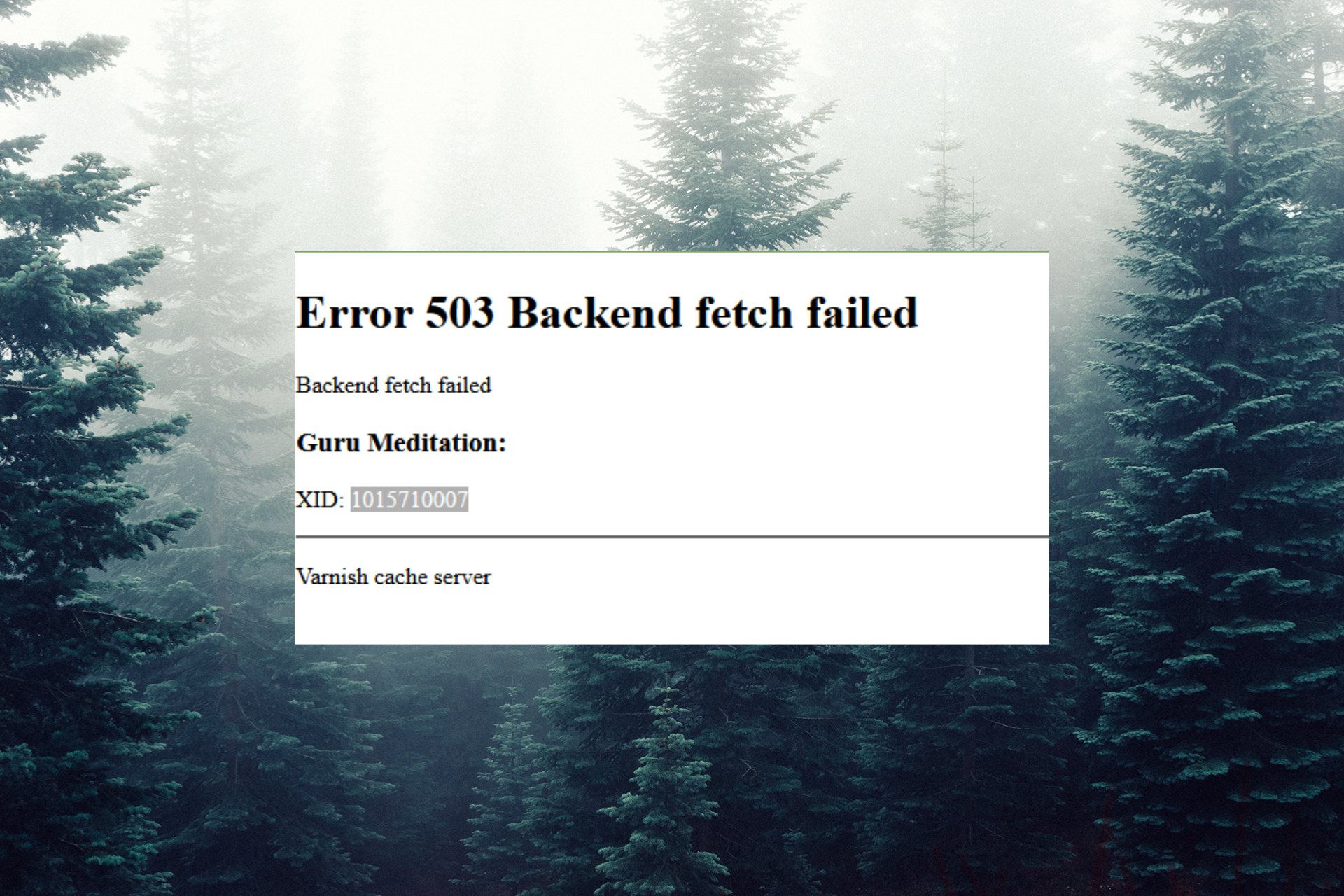 3 Ways To Easily Fix Bulbapedia Error 503
