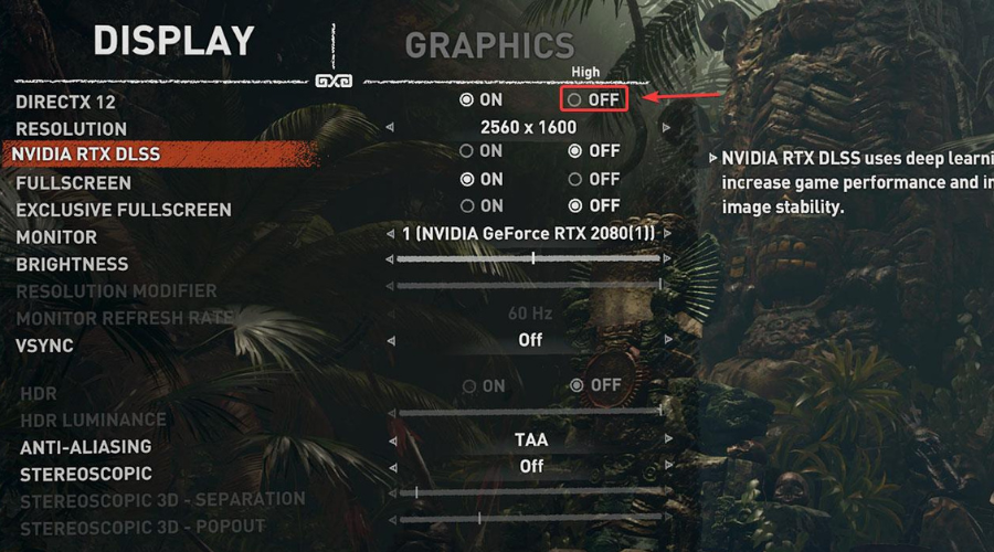 disable DX12 tomb raider