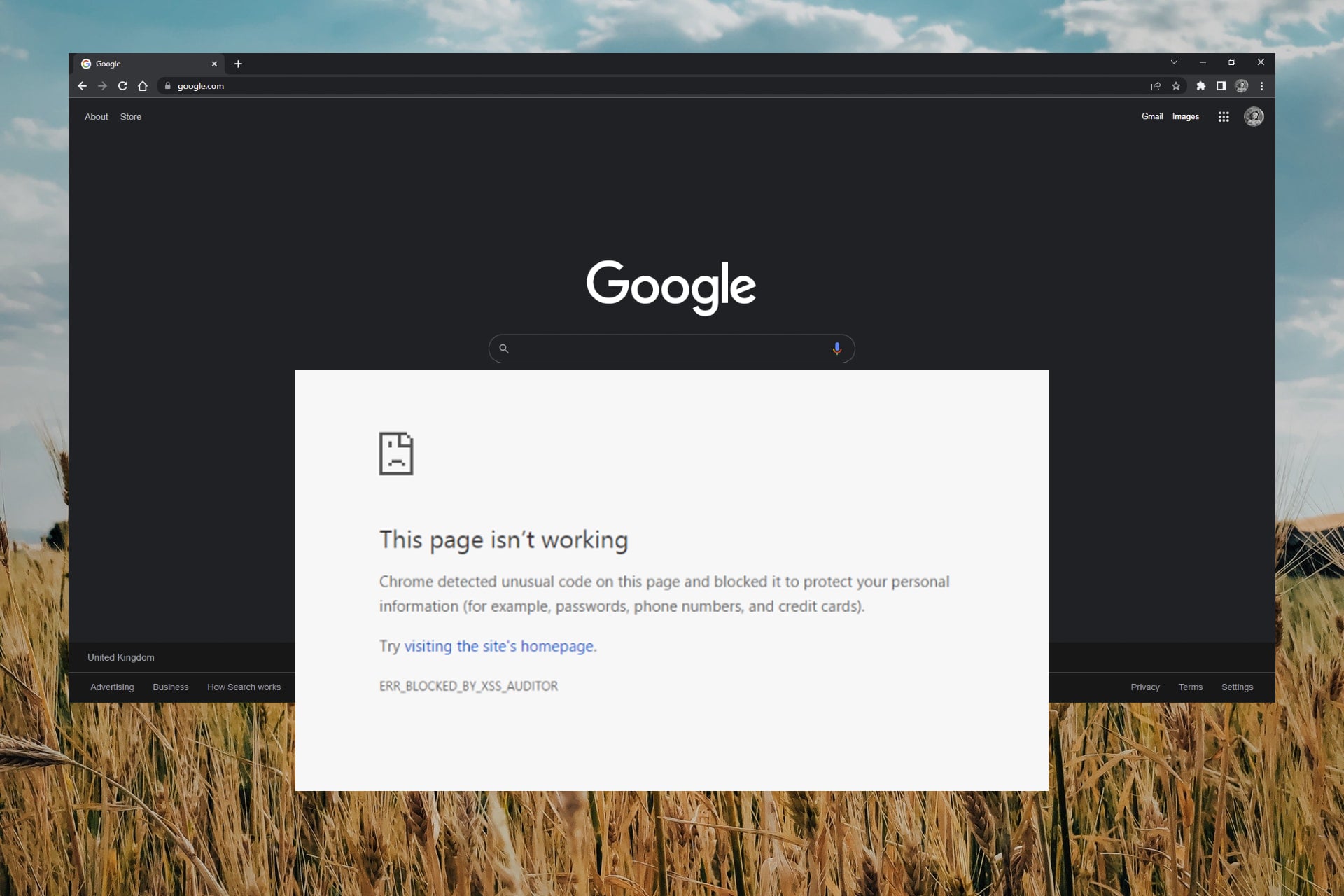 Fix: Chrome Detected Ususual Code on this Page and Blocked it