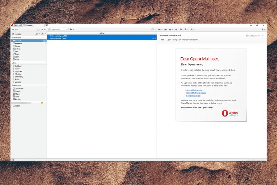 Opera Mail For Windows 11: Is it Still Available?