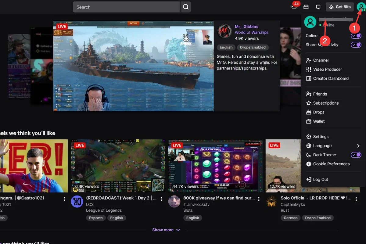Twitch account