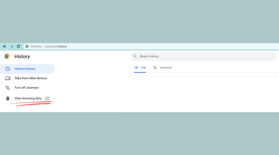 Google Chrome history