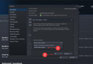 How to Opt in or Out of Steam Client Beta [Easiest Ways]