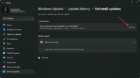 Display Resolution is Greyed Out? How to Force it to Change