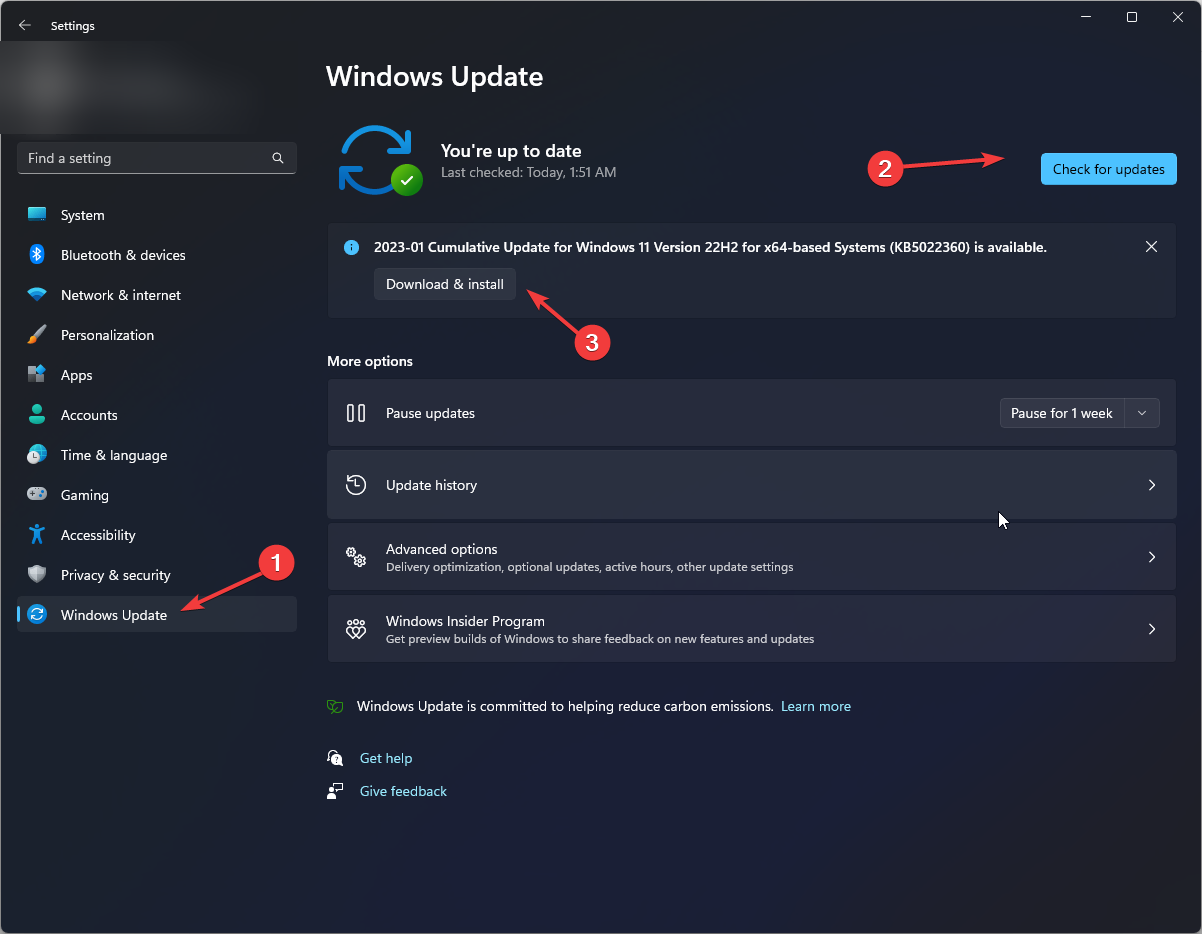 Settings check Updates -windows 11 can't find printer
