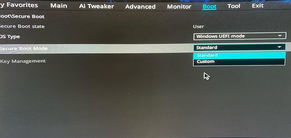 enable secure boot without bios